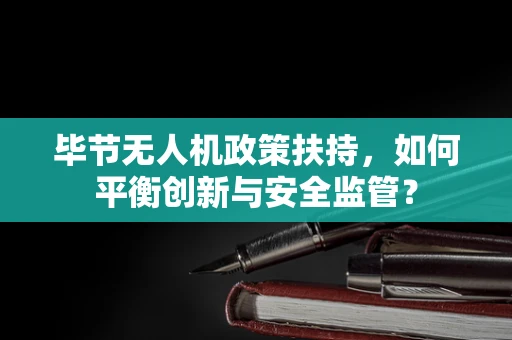 毕节无人机政策扶持，如何平衡创新与安全监管？