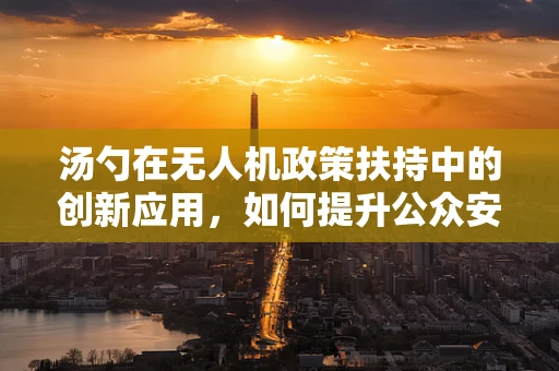 汤勺在无人机政策扶持中的创新应用，如何提升公众安全意识？