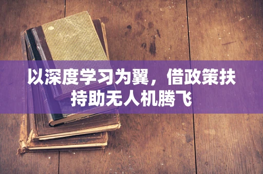 以深度学习为翼，借政策扶持助无人机腾飞