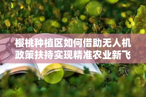 樱桃种植区如何借助无人机政策扶持实现精准农业新飞跃？