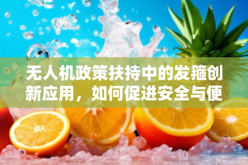 无人机政策扶持中的发箍创新应用，如何促进安全与便捷的双重提升？