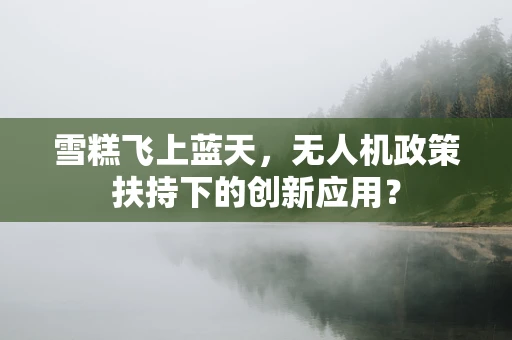 雪糕飞上蓝天，无人机政策扶持下的创新应用？