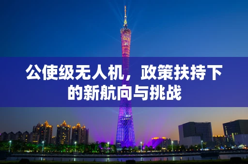 公使级无人机，政策扶持下的新航向与挑战