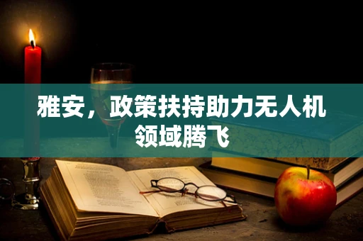 雅安，政策扶持助力无人机领域腾飞