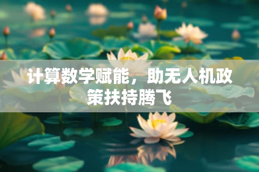 计算数学赋能，助无人机政策扶持腾飞