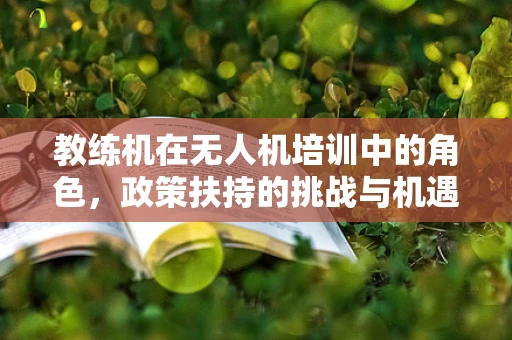 教练机在无人机培训中的角色，政策扶持的挑战与机遇？