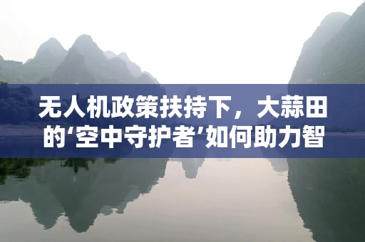 无人机政策扶持下，大蒜田的‘空中守护者’如何助力智慧农业？