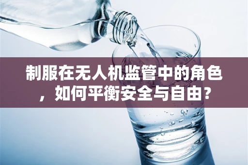 制服在无人机监管中的角色，如何平衡安全与自由？