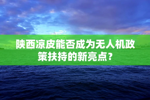 陕西凉皮能否成为无人机政策扶持的新亮点？