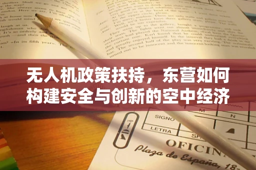 无人机政策扶持，东营如何构建安全与创新的空中经济？