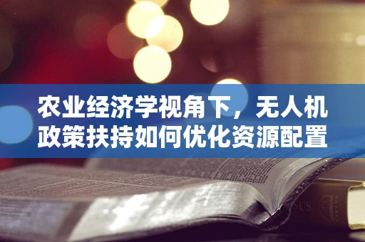 农业经济学视角下，无人机政策扶持如何优化资源配置？