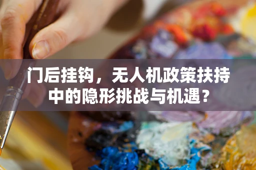 门后挂钩，无人机政策扶持中的隐形挑战与机遇？