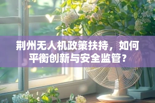 荆州无人机政策扶持，如何平衡创新与安全监管？