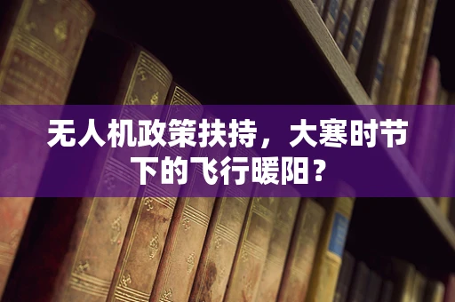 无人机政策扶持，大寒时节下的飞行暖阳？