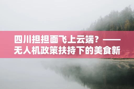 四川担担面飞上云端？——无人机政策扶持下的美食新航道？