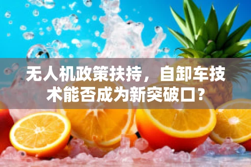 无人机政策扶持，自卸车技术能否成为新突破口？