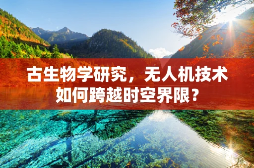 古生物学研究，无人机技术如何跨越时空界限？