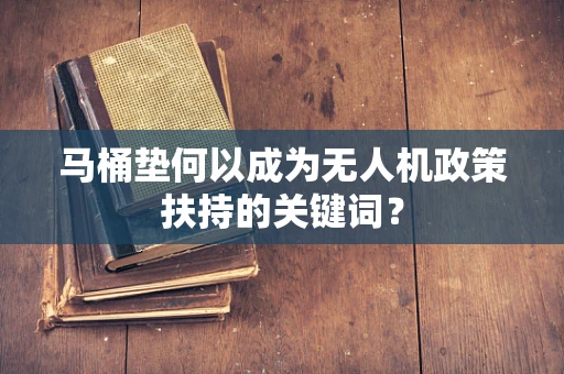 马桶垫何以成为无人机政策扶持的关键词？