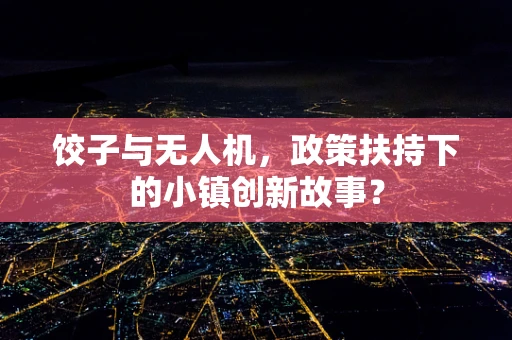 饺子与无人机，政策扶持下的小镇创新故事？