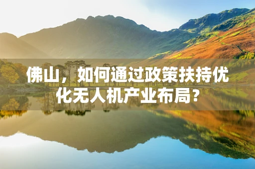 佛山，如何通过政策扶持优化无人机产业布局？