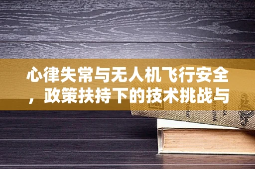 心律失常与无人机飞行安全，政策扶持下的技术挑战与应对策略