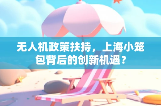 无人机政策扶持，上海小笼包背后的创新机遇？