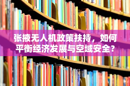 张掖无人机政策扶持，如何平衡经济发展与空域安全？