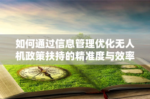 如何通过信息管理优化无人机政策扶持的精准度与效率？