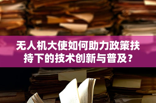 无人机大使如何助力政策扶持下的技术创新与普及？