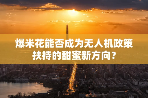 爆米花能否成为无人机政策扶持的甜蜜新方向？